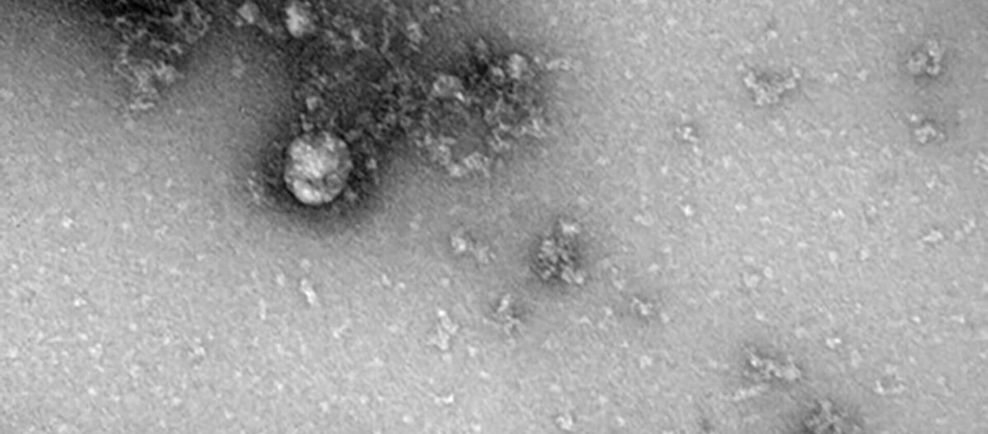 Virus corona chủng mới từ Anh - Sputnik Việt Nam, 1920, 03.02.2021