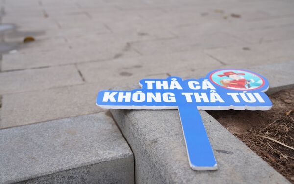 Hoạt động tuyên truyền “Thả cá, không thả túi nilon” - Sputnik Việt Nam