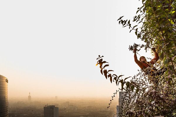 Bức ảnh Cuộc chơi cân bằng tinh tế (A Game of Subtle Balances) của Matteo Carassale, lọt vòng chung kết hạng mục Thực vật và hành tinh trong cuộc thi The International Garden Photographer of the Year Competition-14 - Sputnik Việt Nam