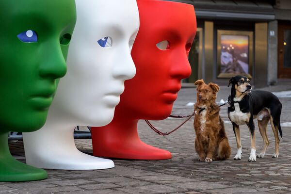 Hai chú chó chờ chủ bên những chiếc ghế nhựa hình mặt người mang màu cờ Ý - Sputnik Việt Nam