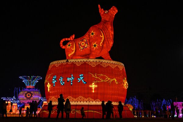 Đèn lồng khổng lồ hình trâu ở Công viên Vũ Hán, Trung Quốc - Sputnik Việt Nam