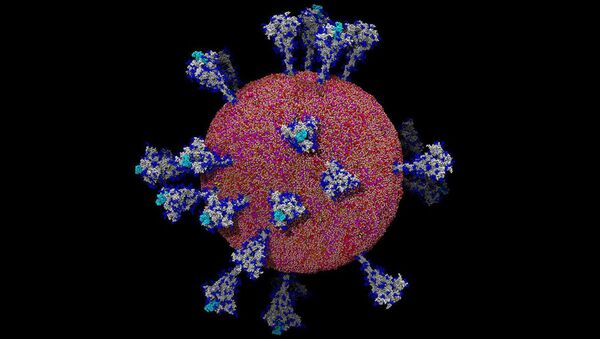 Mô hình coronavirus - Sputnik Việt Nam
