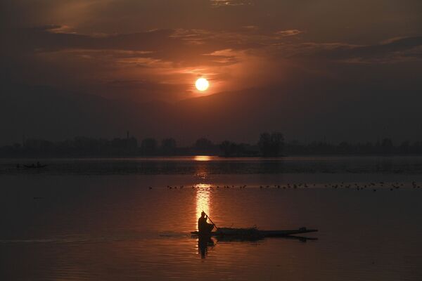 Người đàn ông trên thuyền trong cảnh hoàng hôn ở hồ Dal ở Srinagar, Ấn Độ - Sputnik Việt Nam