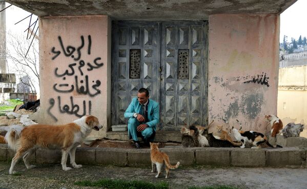 Người đàn ông chơi với vật nuôi - chó và mèo - bên ngoài ngôi nhà ở Amman, Jordan - Sputnik Việt Nam