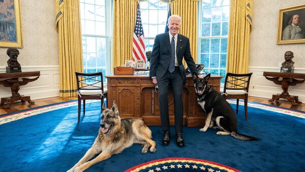 Joe Biden với những chú chó Champ và Major của anh ấy tại Nhà Trắng - Sputnik Việt Nam