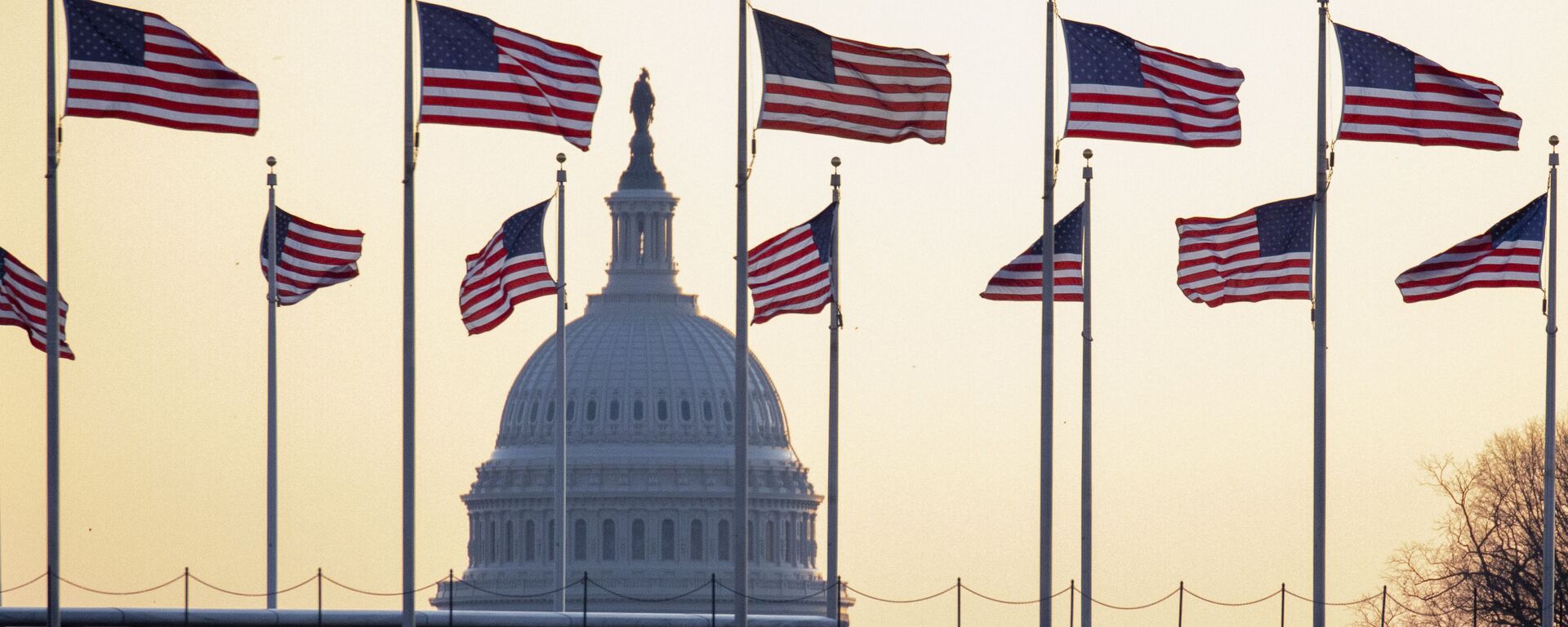 Cờ Mỹ trên nền của Điện Capitol ở Washington, Mỹ - Sputnik Việt Nam, 1920, 01.04.2022