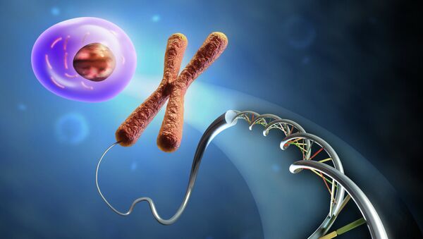 Sự hình thành tế bào từ DNA và nhiễm sắc thể. - Sputnik Việt Nam
