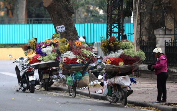 Cả dọc đường Mai Xuân Thưởng, nút giao đường Thanh Niên - Hoàng Hoa Thám không còn cảnh tấp nập người mua hoa như mọi năm. - Sputnik Việt Nam