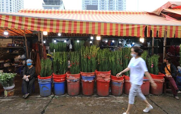 Vào ngày 7/3, tại chợ hoa Quảng An, một trong những chợ hoa lớn nhất Hà Nội nhưng lượng khách đến mua hàng khá thưa thớt. - Sputnik Việt Nam