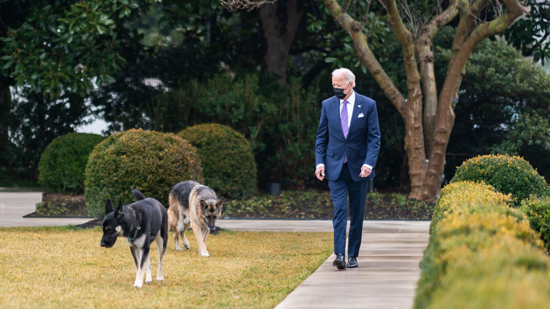 Joe Biden với hai con chó Champ và Major tại Nhà Trắng. - Sputnik Việt Nam, 1920, 09.03.2021