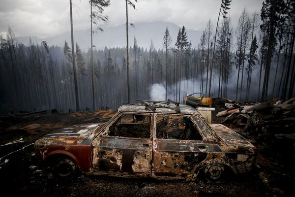 Chiếc xe ô tô bị lửa thiêu do cháy rừng ở Las Golondrinas, Argentina - Sputnik Việt Nam