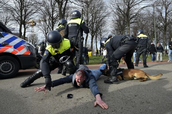 Cảnh sát bắt giữ một người tham gia biểu tình chống chính phủ ở The Hague, Hà Lan - Sputnik Việt Nam