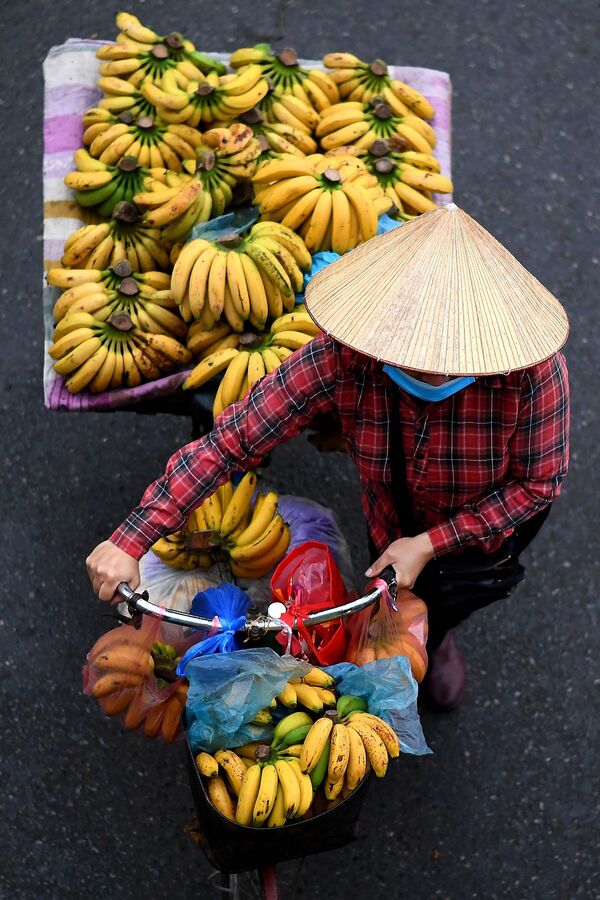 Hàng chuối trên xe đạp ở Hà Nội - Sputnik Việt Nam