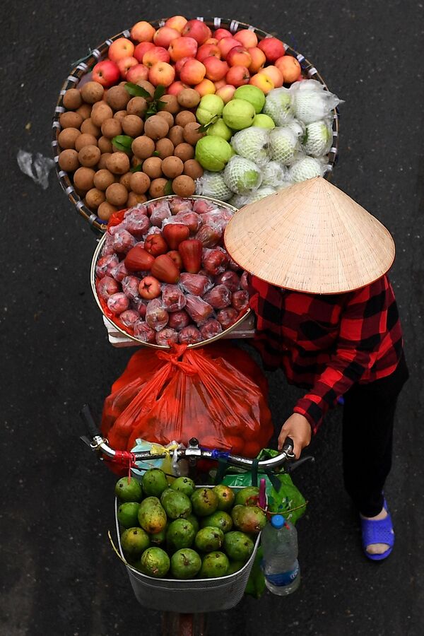 Hàng trái cây trên xe đạp ở Hà Nội - Sputnik Việt Nam