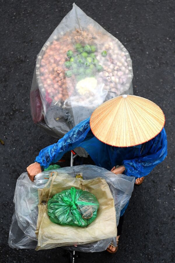 Hàng rau trên xe đạp ở Hà Nội - Sputnik Việt Nam