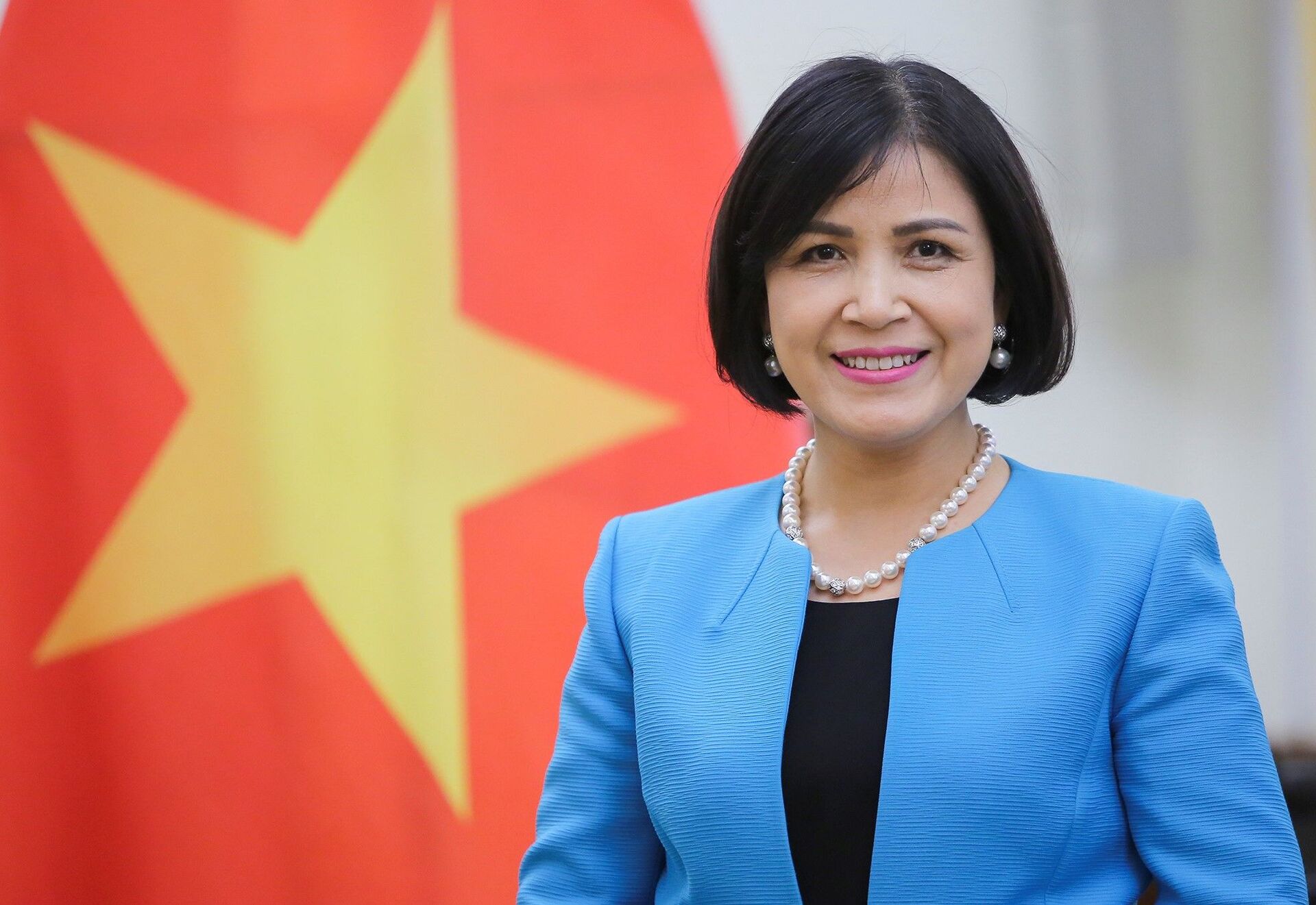 Việt Nam ứng cử thành viên Hội đồng Nhân quyền LHQ: Bớt ‘chọc gậy bánh xe’ - Sputnik Việt Nam, 1920, 25.03.2021