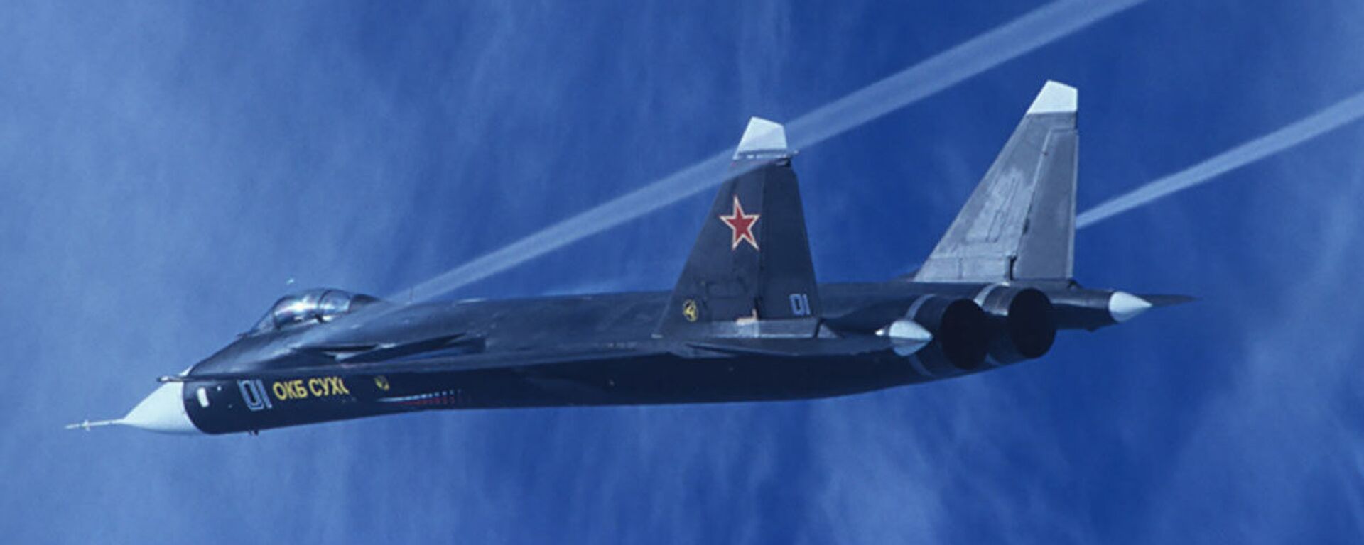 Máy bay chiến đấu thử nghiệm Su-47 Berkut - Sputnik Việt Nam, 1920, 05.07.2022