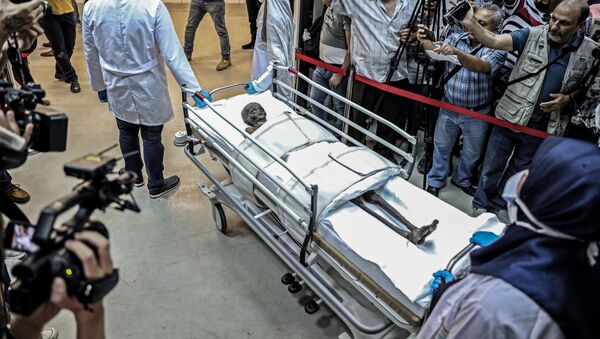 Các nhà báo xung quanh xác ướp của Sennedjem tại Bảo tàng Quốc gia Ai Cập - Sputnik Việt Nam