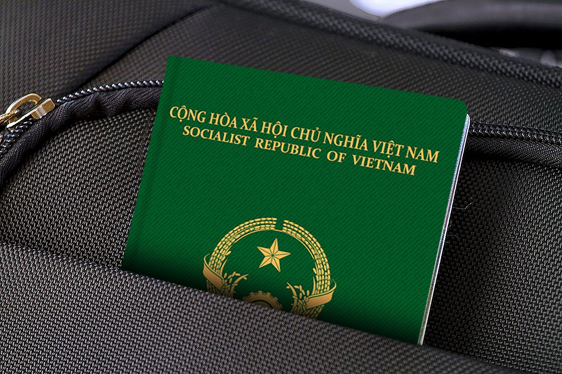 Một số Công an ‘tiếp tay’ cho những kẻ biến người Trung Quốc thành người Việt Nam’ - Sputnik Việt Nam, 1920, 06.04.2021