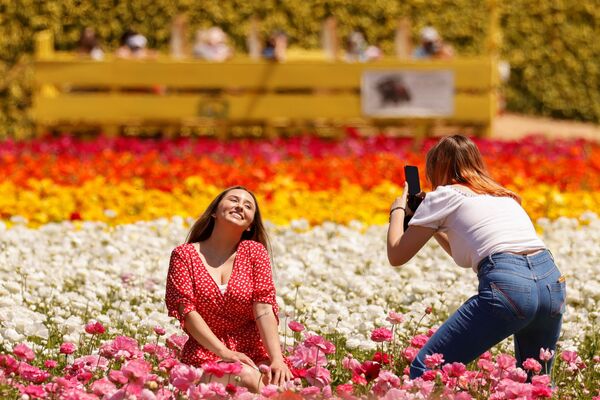 Các cô gái chụp ảnh tại Cánh đồng hoa ở Carlsbad, Mỹ - Sputnik Việt Nam