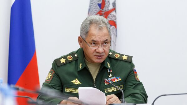 Bộ trưởng Quốc phòng LB Nga Sergei Shoigu. - Sputnik Việt Nam