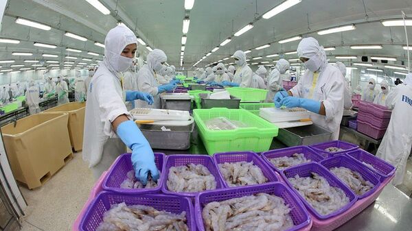 Chế biến sản phẩm tôm xuất khẩu tại nhà máy của Công ty Cổ phần Thực phẩm Sao Ta (Sóc Trăng). - Sputnik Việt Nam