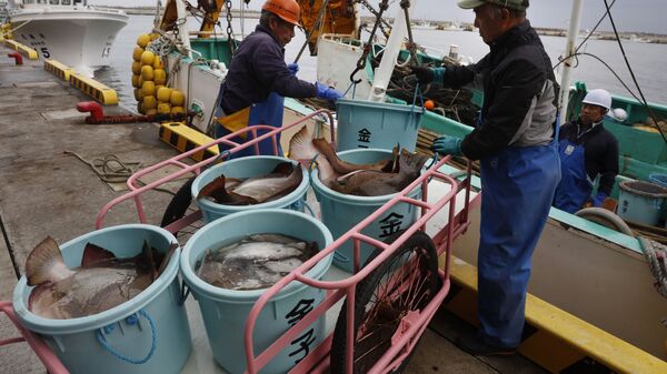 Ngư dân dỡ cá từ một chiếc thuyền tại một trung tâm chế biến ở Soma, tỉnh Fukushima, Nhật Bản, 2019. - Sputnik Việt Nam