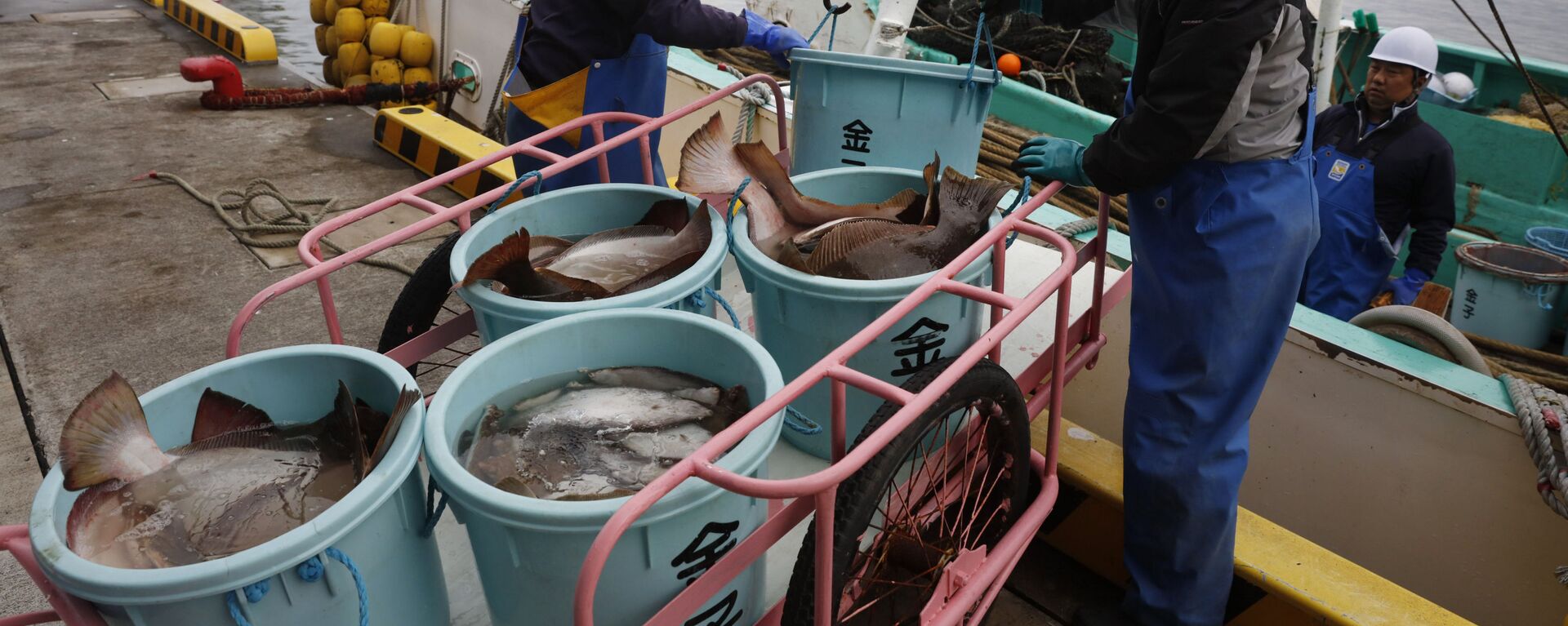 Ngư dân dỡ cá từ một chiếc thuyền tại một trung tâm chế biến ở Soma, tỉnh Fukushima, Nhật Bản, 2019. - Sputnik Việt Nam, 1920, 19.04.2021