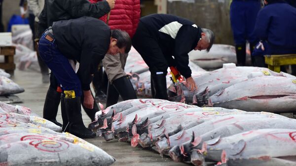 Những người bán cá ngừ ở chợ Tokyo - Sputnik Việt Nam