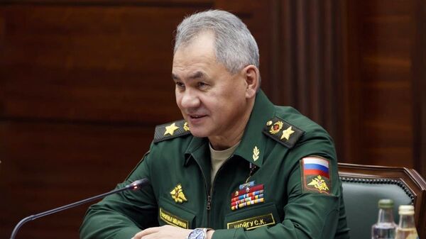 Bộ trưởng Quốc phòng Nga Sergei Shoigu. - Sputnik Việt Nam