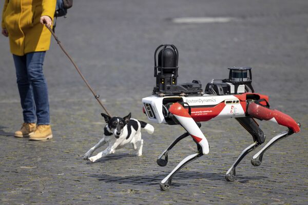 Con chó sủa trước robot Spot ở Erfurt, Đức - Sputnik Việt Nam