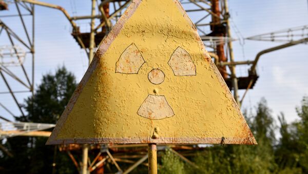 Bảng hiệu cảnh báo bức xạ trong khu vực loại trừ của nhà máy điện hạt nhân Chernobyl. - Sputnik Việt Nam