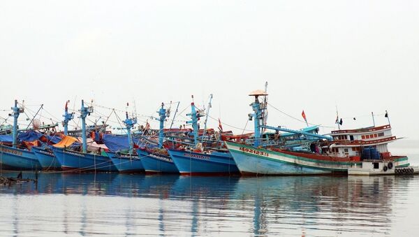 Biển đảo Việt Nam: Kiên Giang xử lý nghiêm các tàu cá vi phạm khai thác IUU - Sputnik Việt Nam