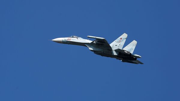 Một chiếc Su-27 của Nga. - Sputnik Việt Nam