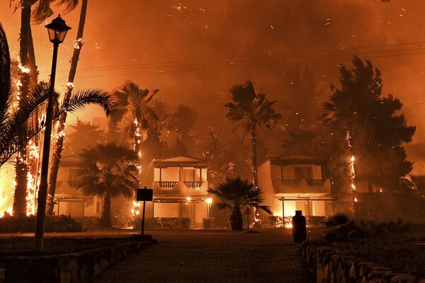 Cháy rừng ở làng Schinos, gần Corinth, Hy Lạp - Sputnik Việt Nam