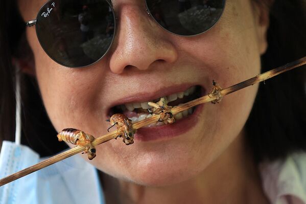 Một cô gái nếm món ve sầu chiên trong lễ hội Cicadafest ở Mỹ - Sputnik Việt Nam