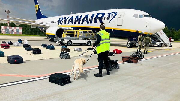 Chiếc máy bay của hãng hang không Ryanair tại sân bay Minsk. - Sputnik Việt Nam