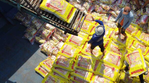 Vận chuyển gạo xuất khẩu tại nhà máy chế biến Tân Thạnh (thuộc Vinafood2). Dự kiến xuất khẩu trực tiếp sang các thị trường châu Á, châu Phi, châu Âu và châu Mỹ - Sputnik Việt Nam