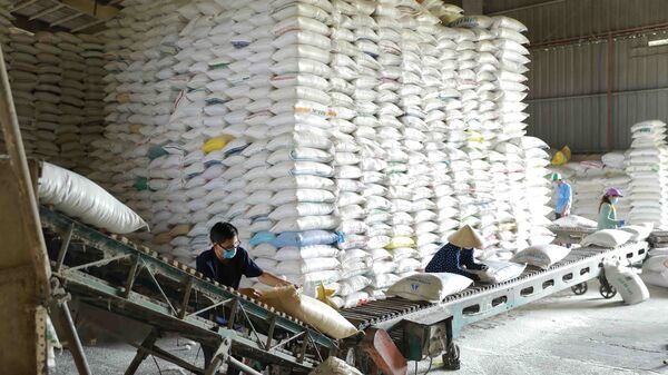  Dây chuyền chế biến, đóng gói gạo thành phẩm tại nhà máy chế biến lương thực Long An (thuộc Tổng công ty Lương thực miền Nam - Vinafood 2). - Sputnik Việt Nam