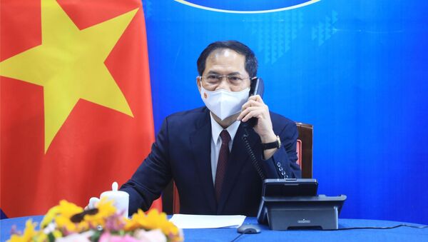 Bộ trưởng Ngoại giao Bùi Thanh Sơn - Sputnik Việt Nam