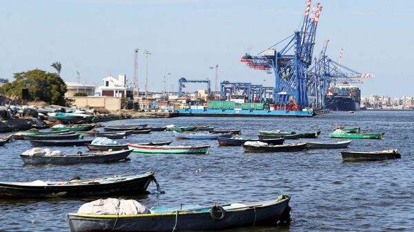 Một con tàu container đứng bằng cần cẩu trên kênh đào Suez gần cảng Ismailia, phía đông bắc Cairo, Ai Cập. - Sputnik Việt Nam