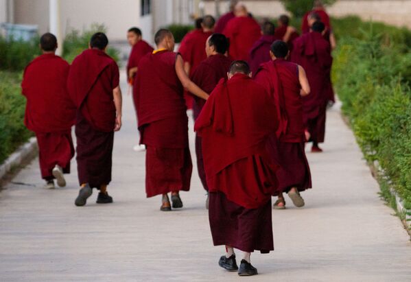 Các nhà sư trong khuôn viên của Học viện Phật giáo ở làng Zhedui, Tây Tạng - Sputnik Việt Nam