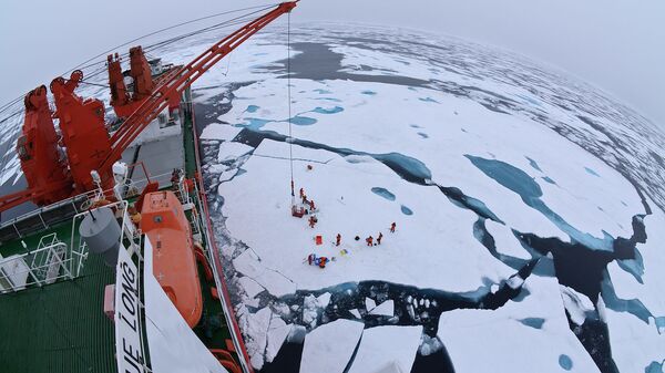 Quang cảnh băng ở Bắc Cực nhìn từ tàu phá băng Xue Long của Trung Quốc - Sputnik Việt Nam