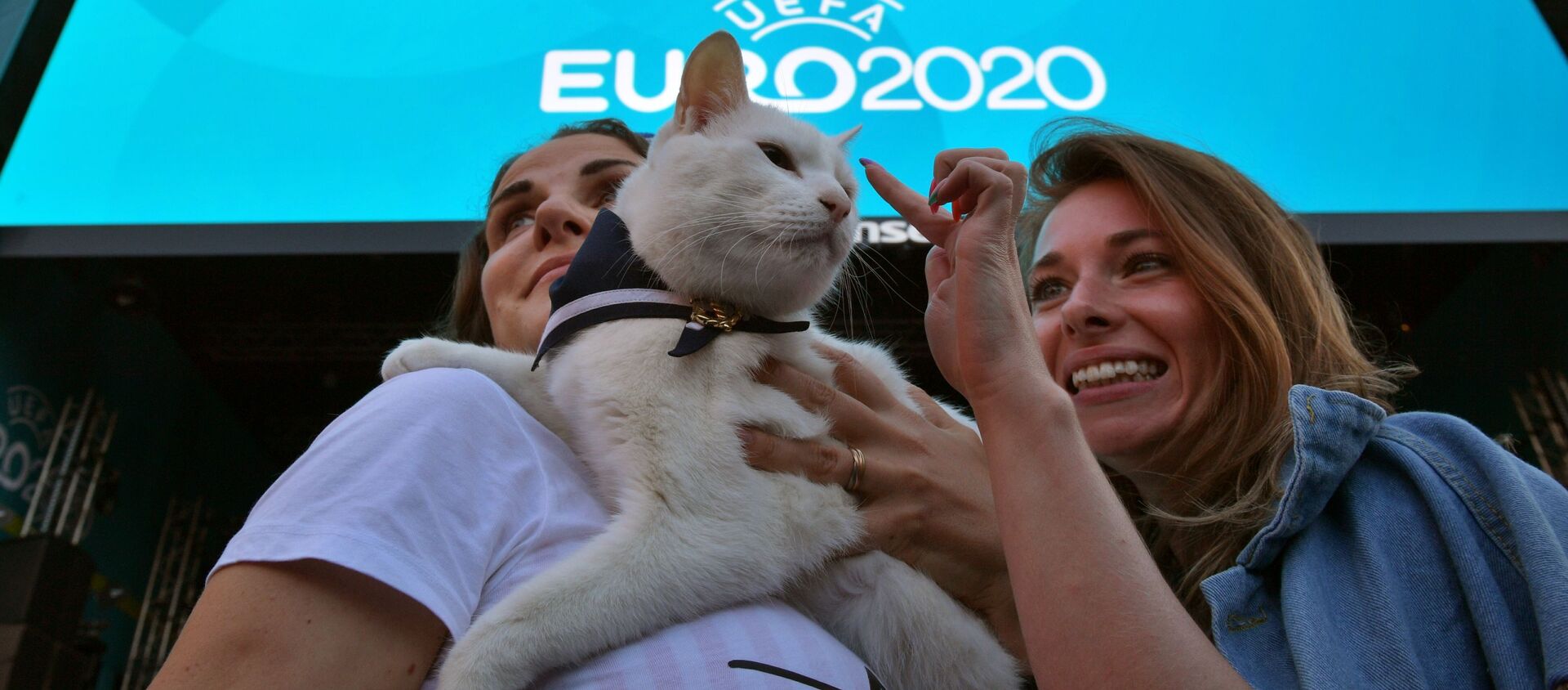 Chú mèo tiên tri Achilles trước giờ phát sóng lượt trận đầu vòng bảng giải vô địch UEFA EURO 2020. - Sputnik Việt Nam, 1920, 15.06.2021