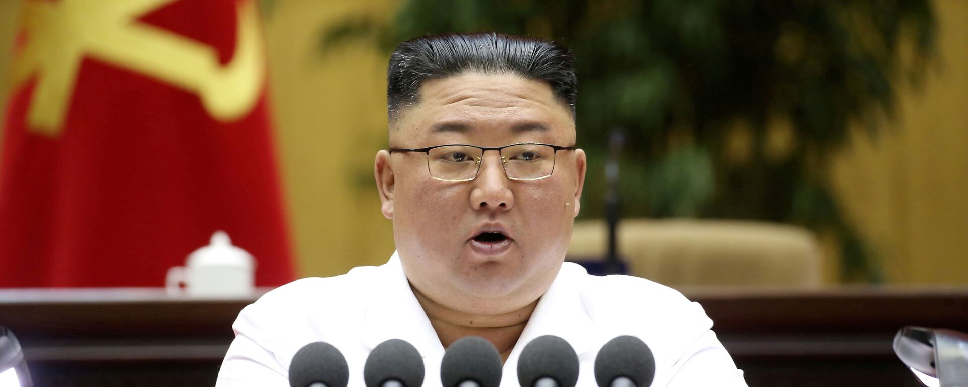 Nhà lãnh đạo Bắc Triều Tiên Kim Jong-un. - Sputnik Việt Nam, 1920, 30.09.2021