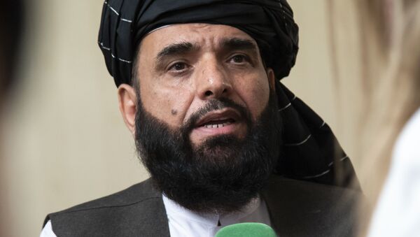 Đại diện chính thức của «Taliban» tại Qatar Suhail Shaheen - Sputnik Việt Nam