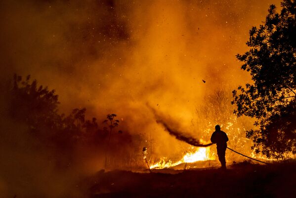 Lính cứu hỏa chiến đấu với ngọn lửa trong khu rừng ở Síp - Sputnik Việt Nam