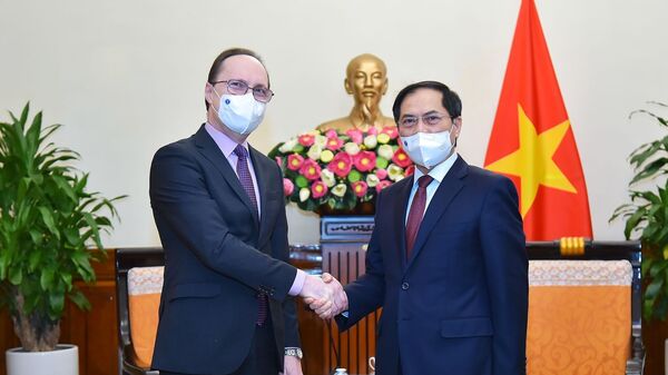 Bộ trưởng Ngoại giao Bùi Thanh Sơn tiếp Đại sứ Liên bang Nga Gennady Bezdetko - Sputnik Việt Nam