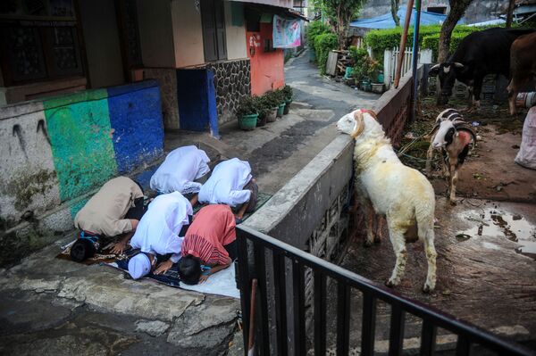 Người Hồi giáo Indonesia hành lễ cầu nguyện Eid al-Adha ở Bandung, tỉnh Tây Java, Indonesia - Sputnik Việt Nam