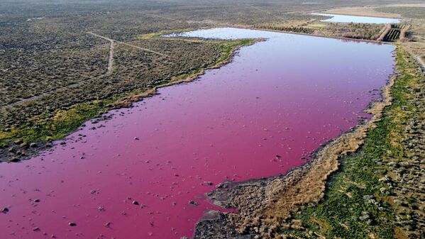 Một đầm nước ở Patagonian, Chubut, Argentina, chuyển sang màu hồng do hóa chất bị kẹt trong đó - Sputnik Việt Nam